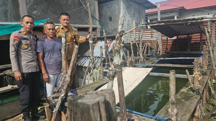 Polsek Bumi Raya Berikan Bantuan Benih Lele untuk Dukung Petani Budidaya di Desa Parilangke