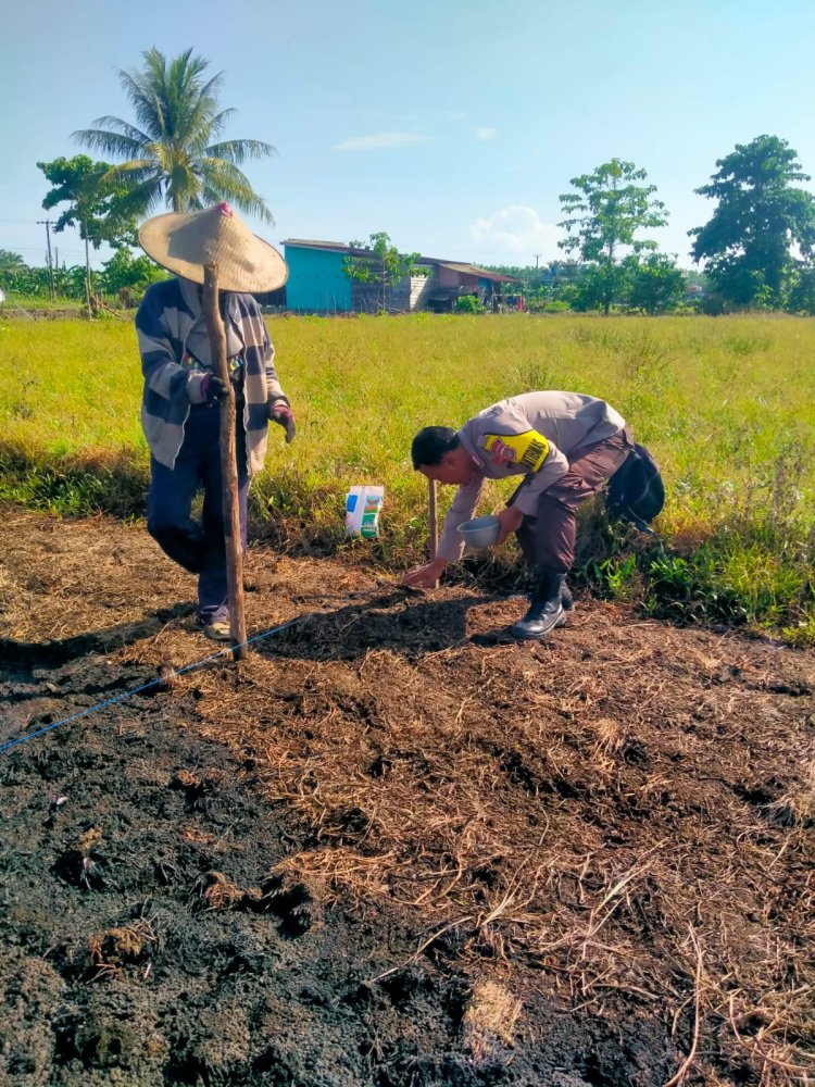 Polsek Bumi Raya Dorong Ketahanan Pangan di Lahan Petani Binaan