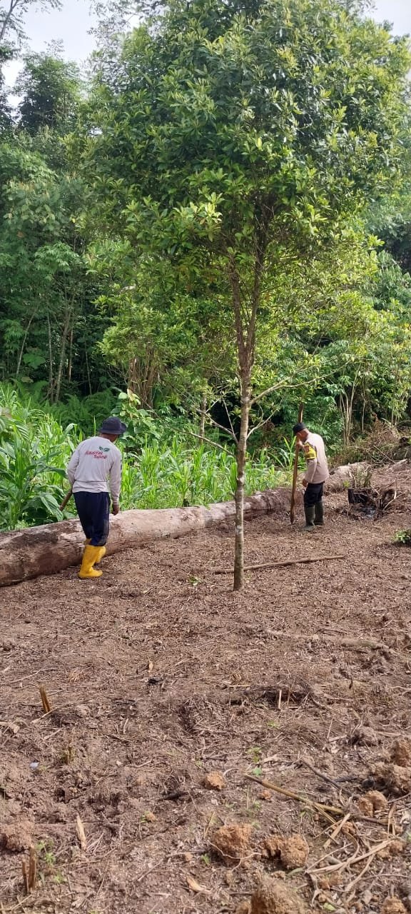 Polsek Bungku Tengah Dorong Ketahanan Pangan di Desa Lahuafu