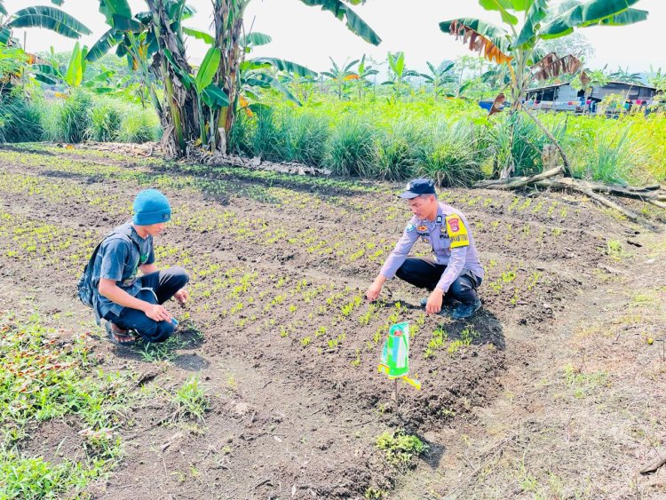 Polsek Bahodopi Dorong Program Lahan Produktif di Desa Dampala