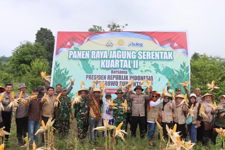 Polres Morowali Gelar Panen Jagung Kuartal II Dukung Swasembada Pangan 2025
