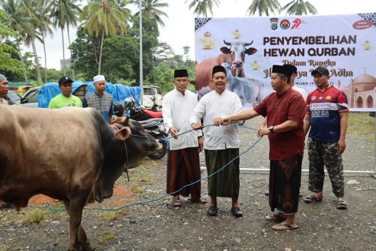 Kapolres Morowali Serahkan 30 Ekor Sapi dan 2 Ekor Kambing Hewan Kurban di Momen Idul Adha 1446 H